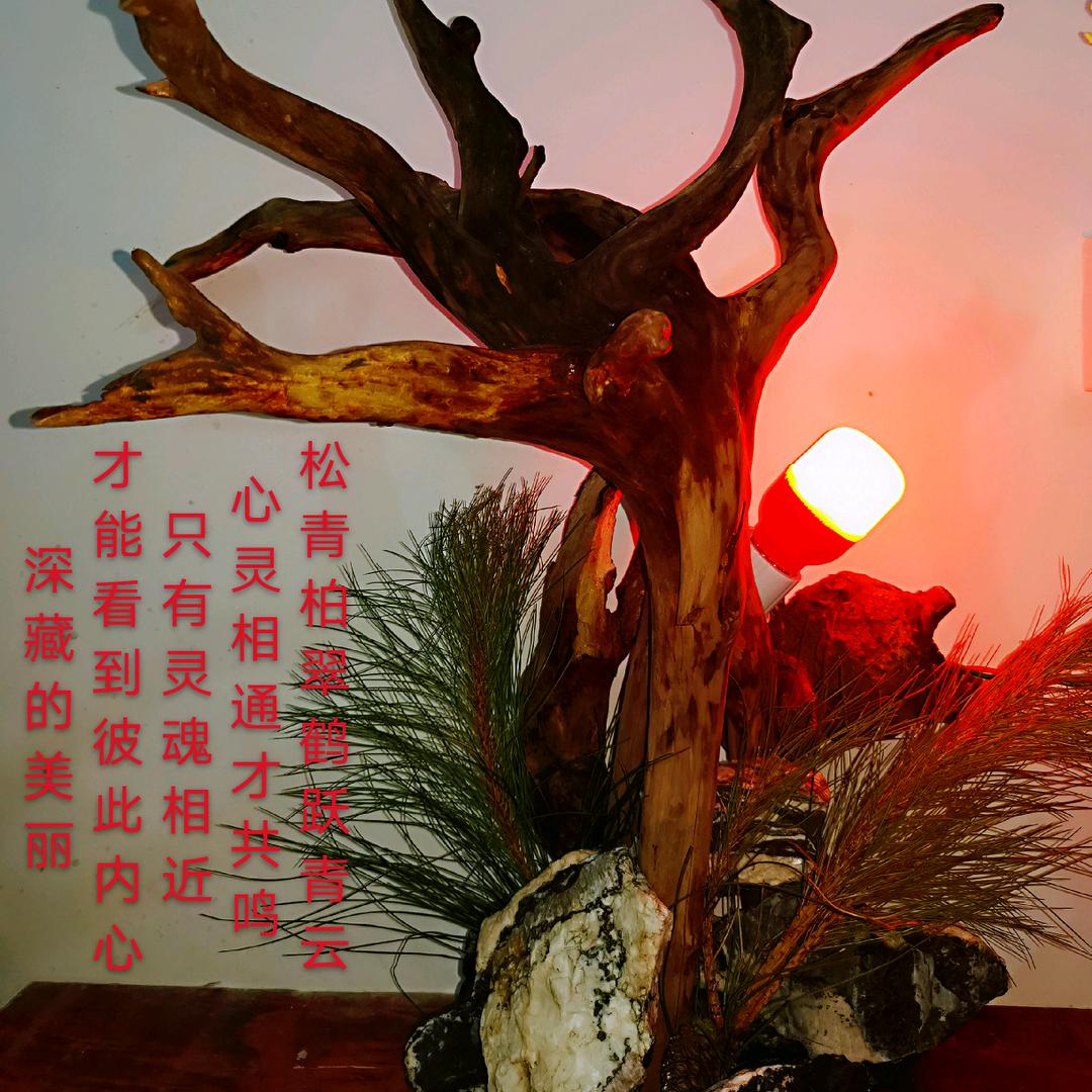 懂！！！惜！！！