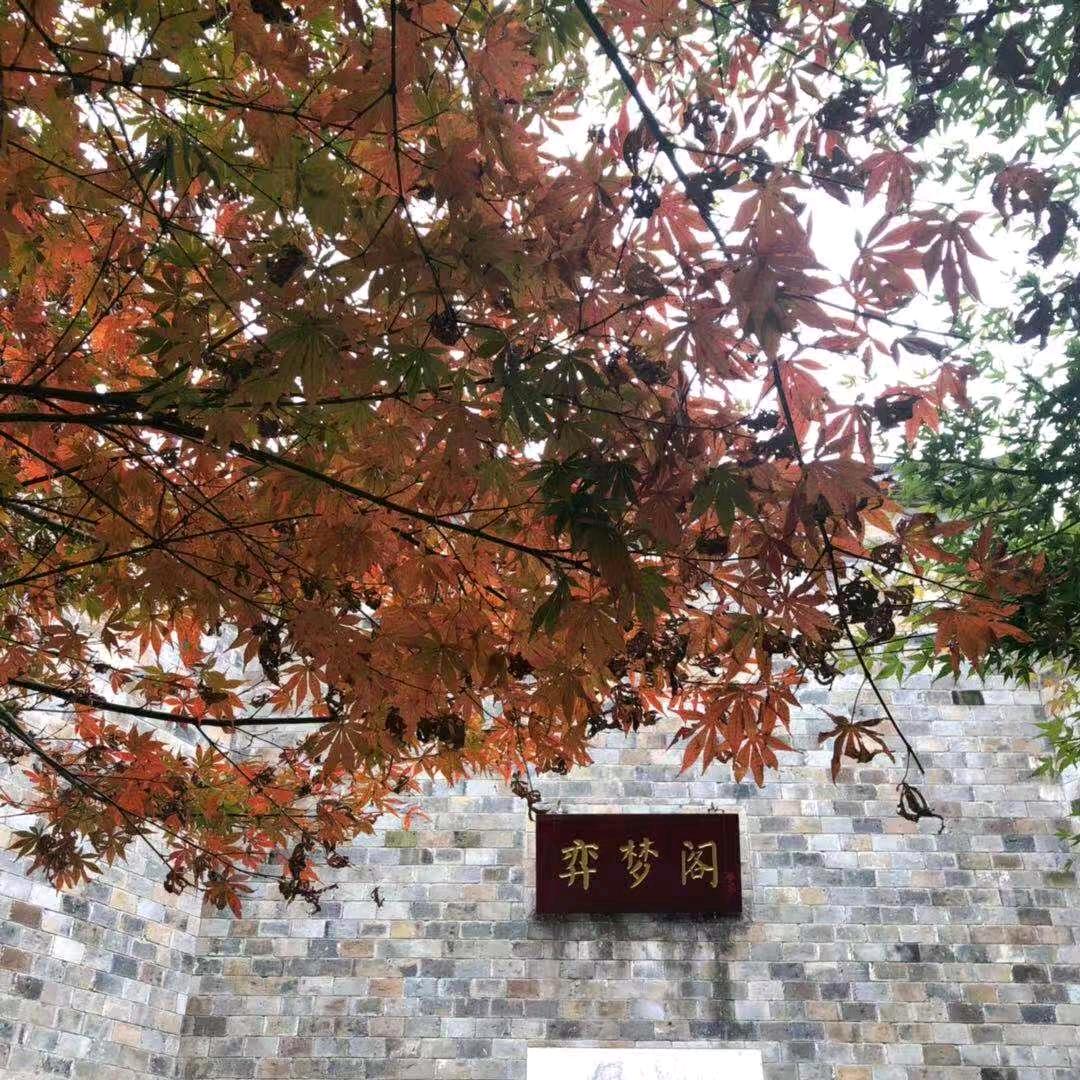 四知说：江苏高考志愿