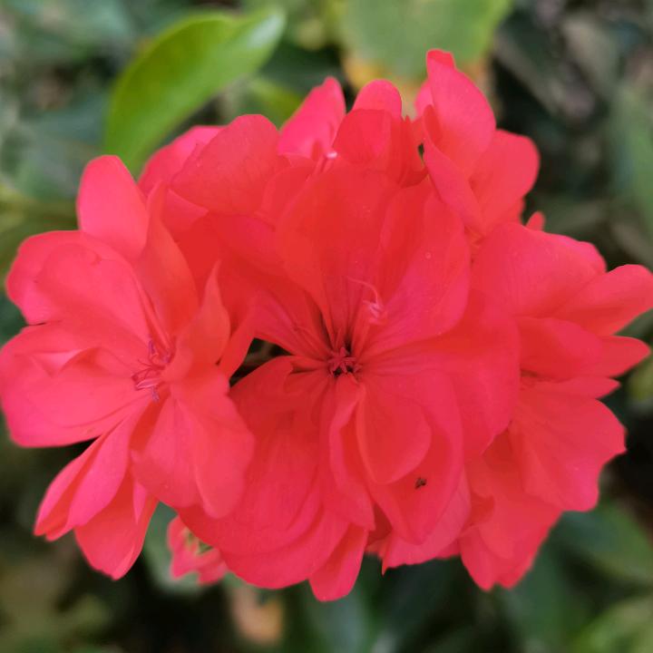 幸福一家人 ♥♥