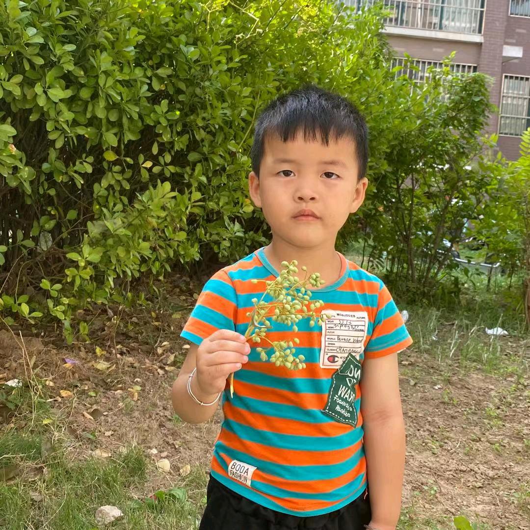 马小姐