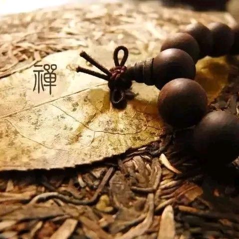 小强同学