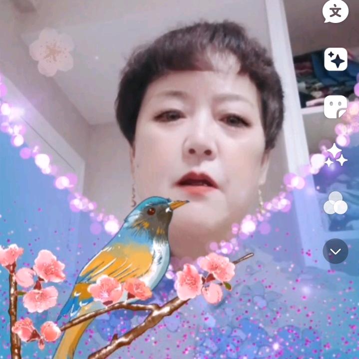芳琴