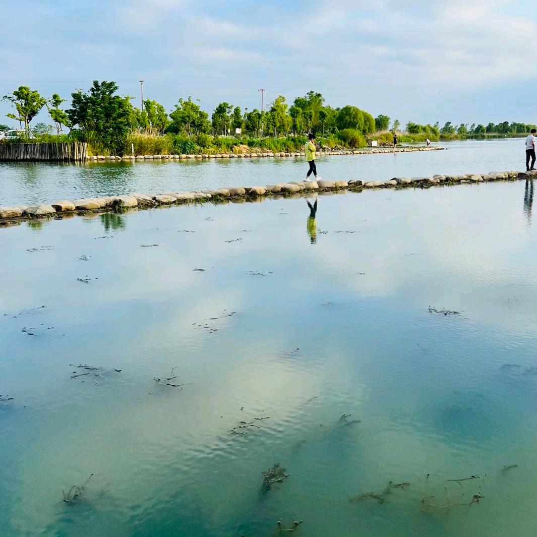 窝边有草何必满山跑