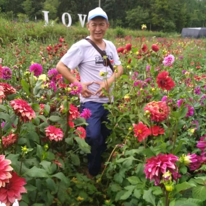 老罗（不定时直播）