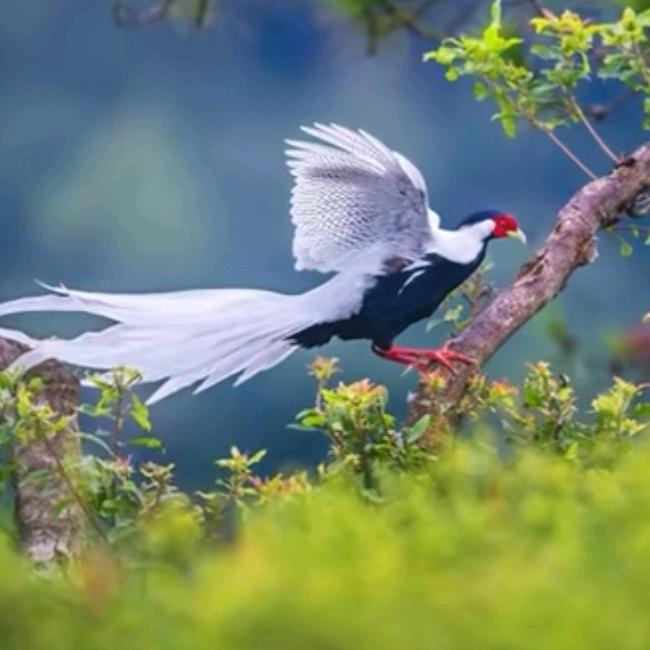 阳光