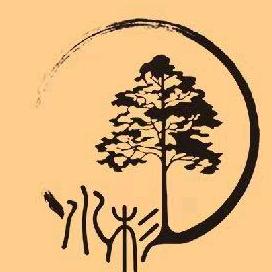 水杉文化