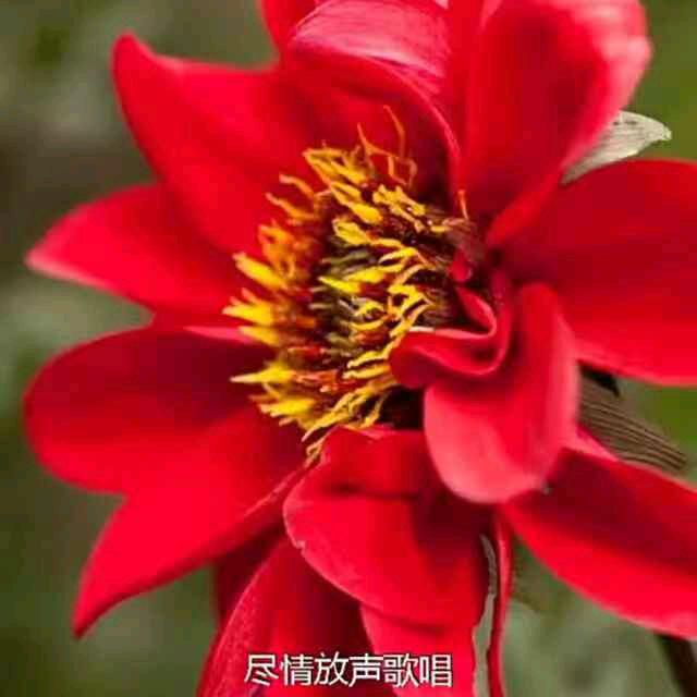 知足长乐，红