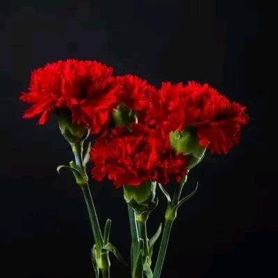 A+M=♥♥♥♥