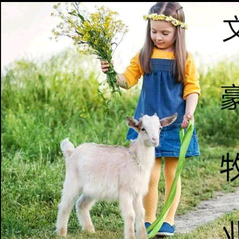 安徽文豪牧业