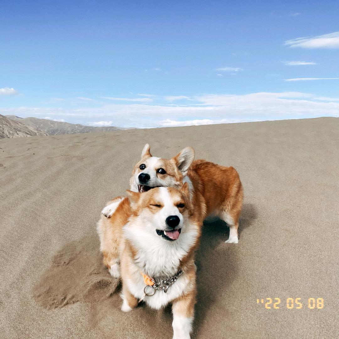 拉萨三旬的哈基米们