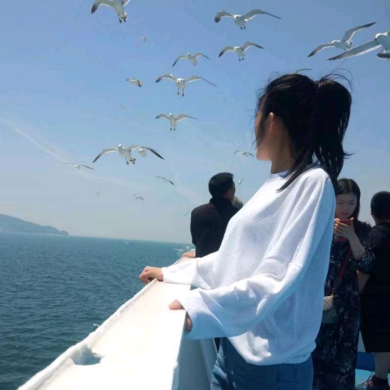爱摄影📷的圈