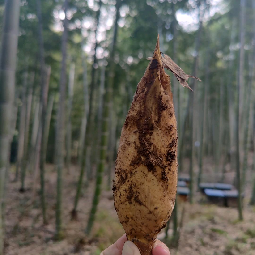 万亩山