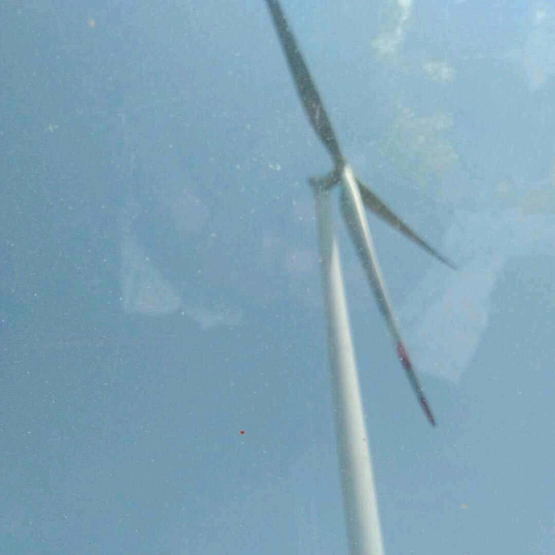 冷漠