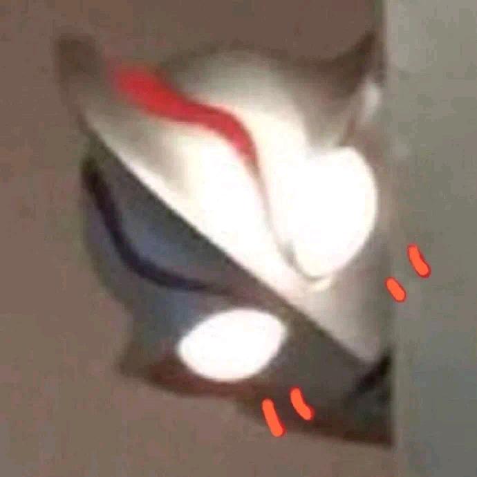 虾 仁 猪 心