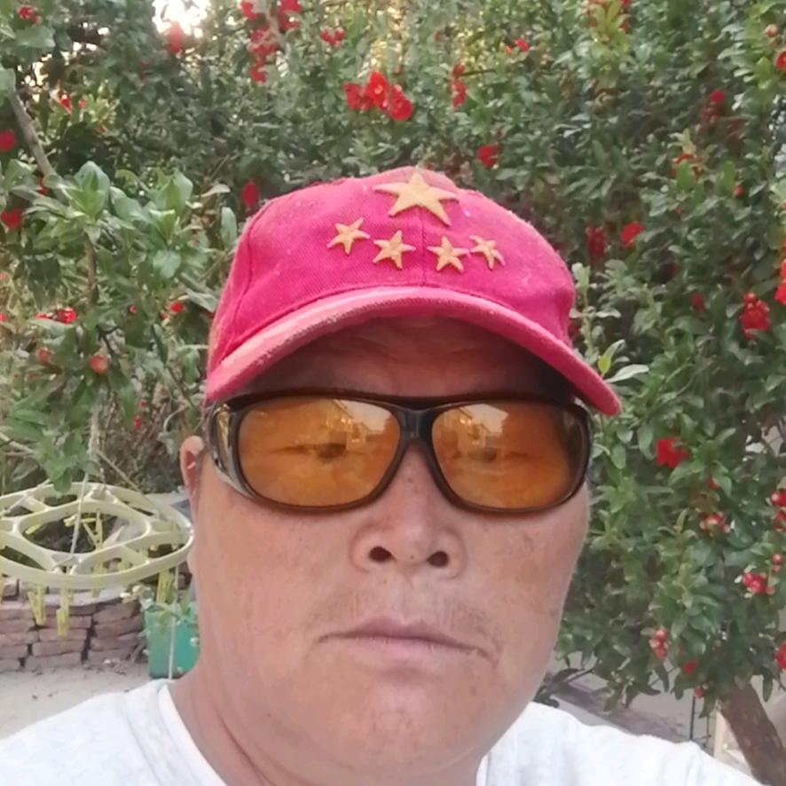 叁月桃花开