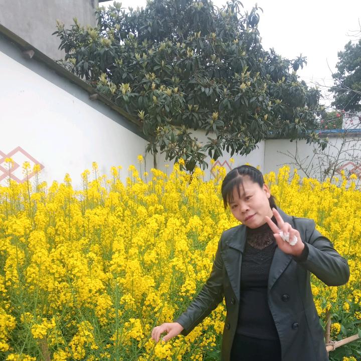 红萝卜🤗