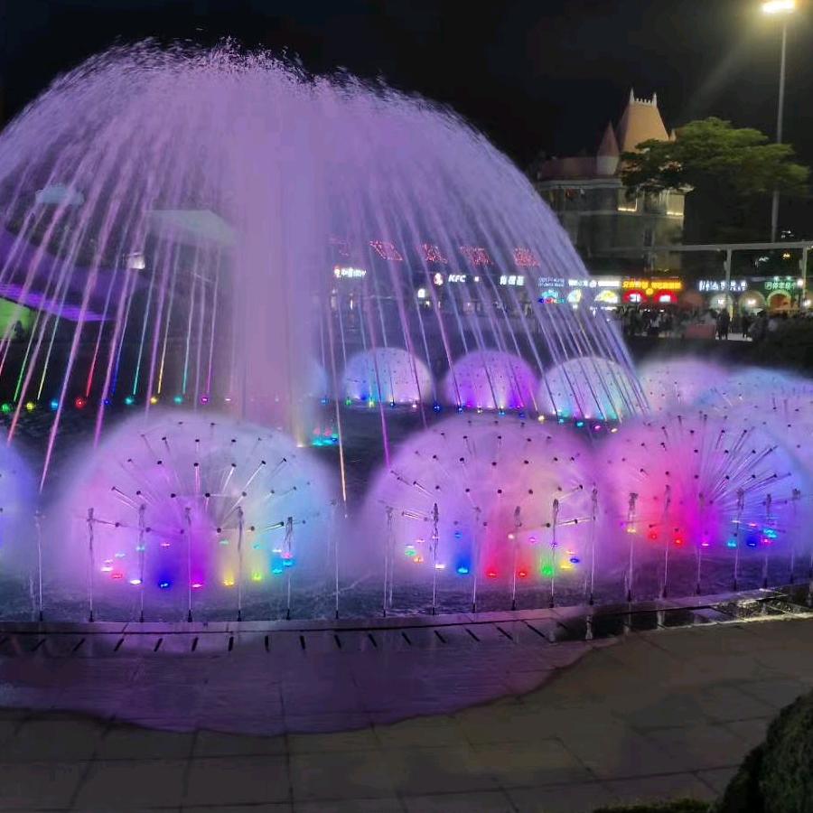 为你而lai🌺🌺