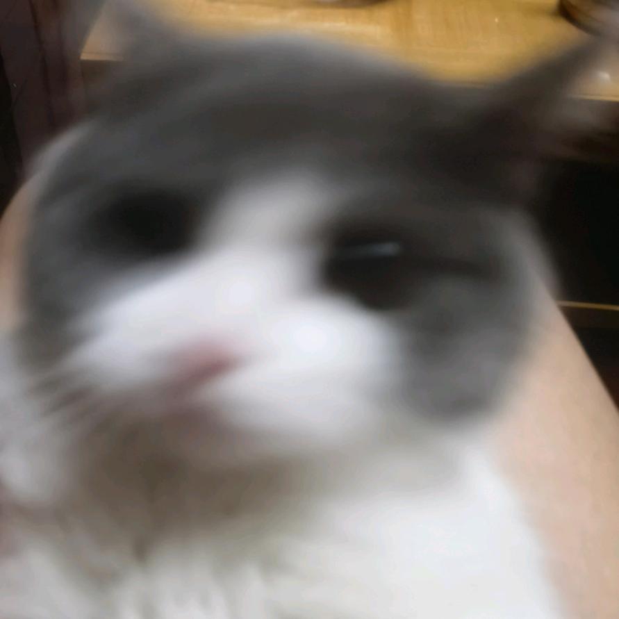 路过的小摆