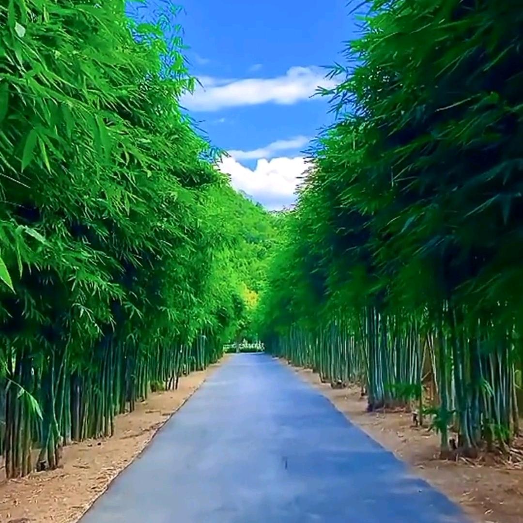 🌈🌈风影🌈🌈
