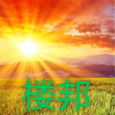 丹凤楼邦建材刘