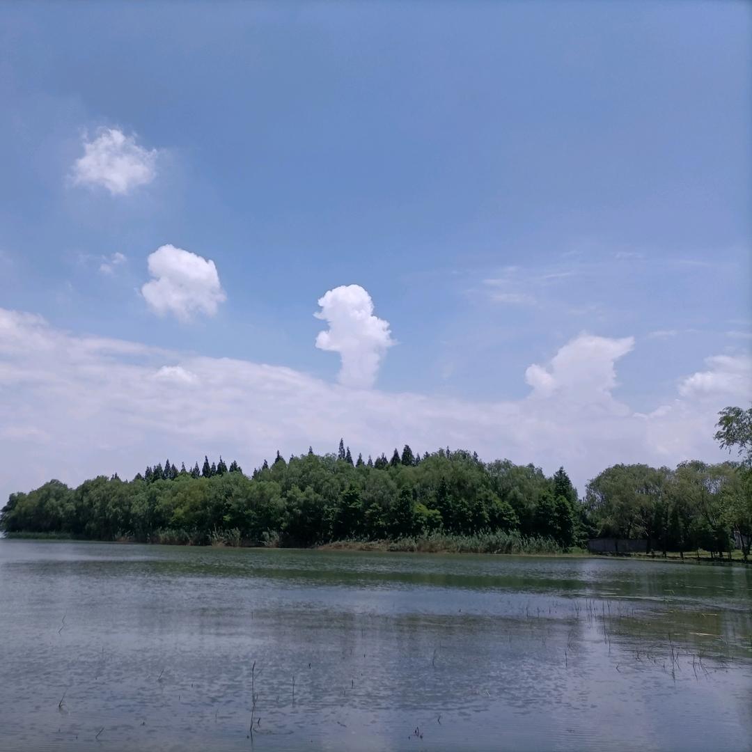 宁静致远…