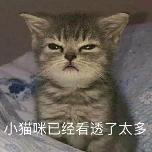 粤