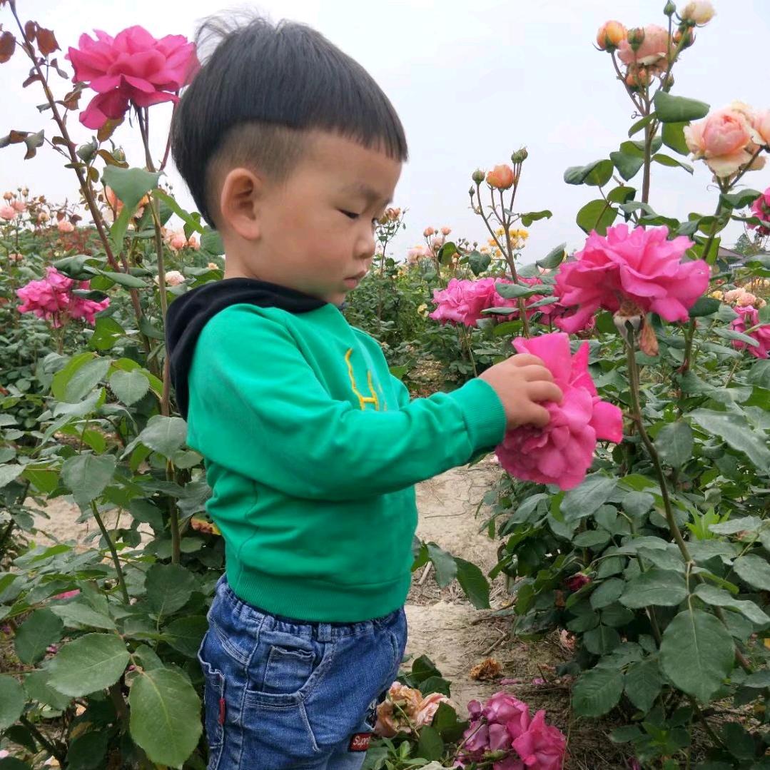 专业防水,堵漏  豆包