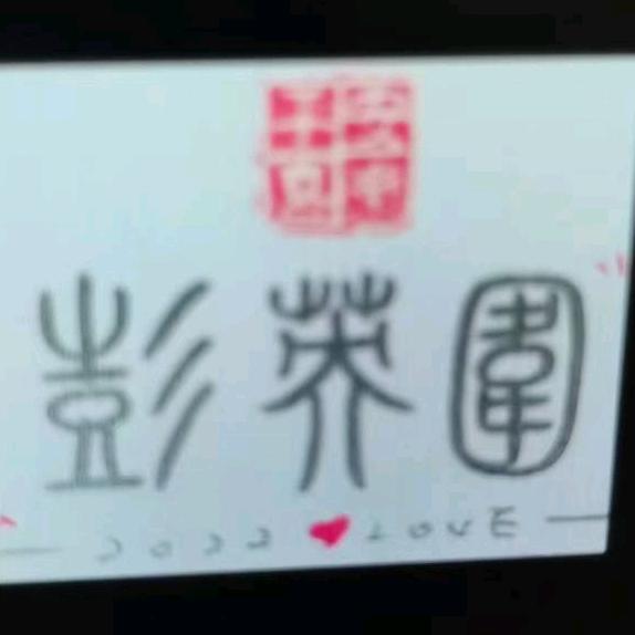 擒贼先擒彭先生