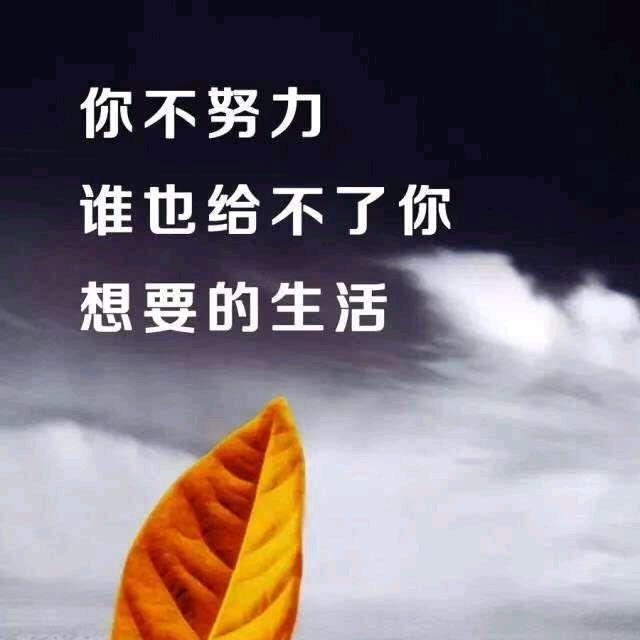 麦K不吃肉