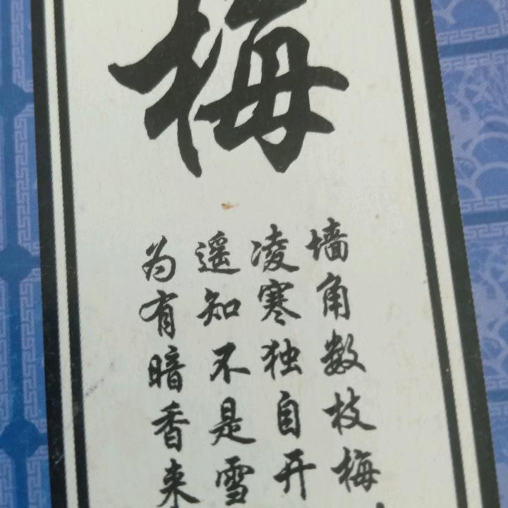 胖子...行动队