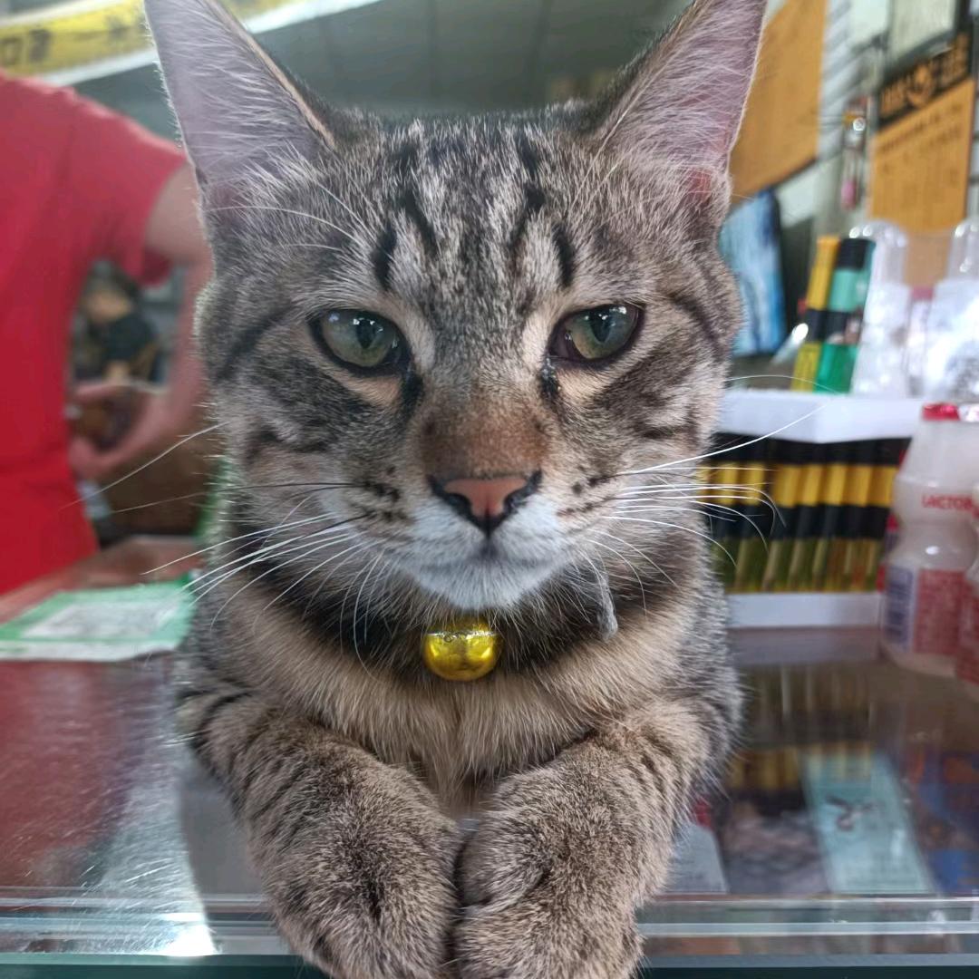 触动了我的忧伤