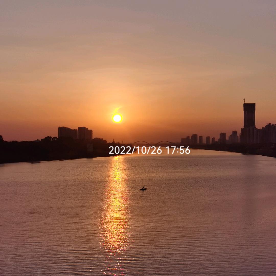 李木