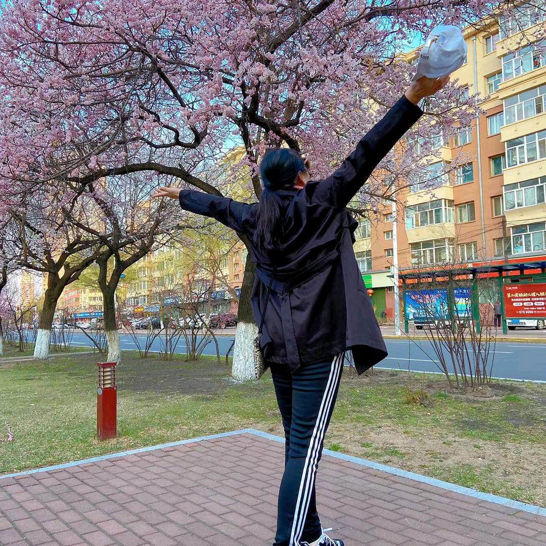 🌹踏雪寻梅🌹