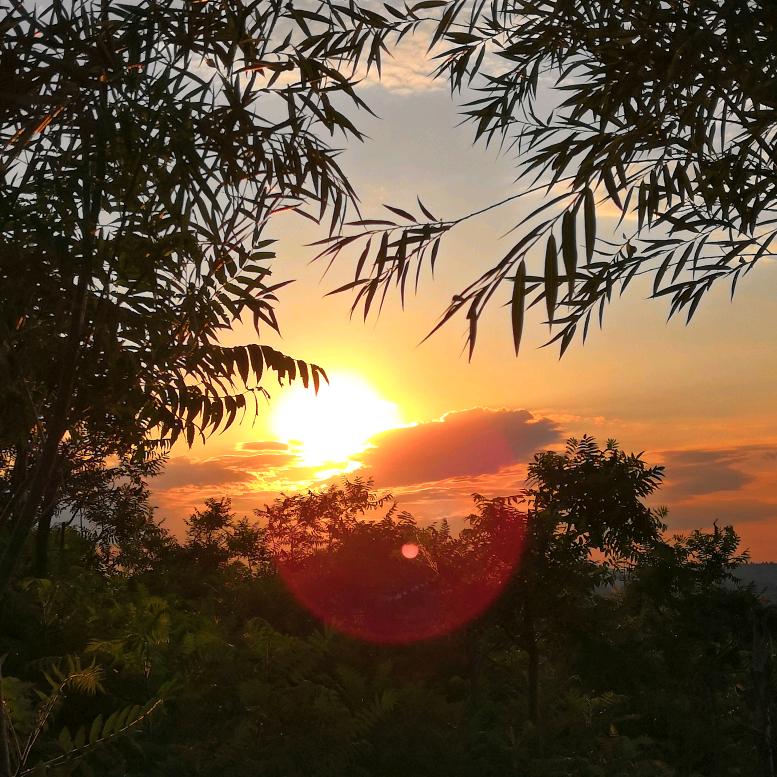 人生百味（生活•点滴）