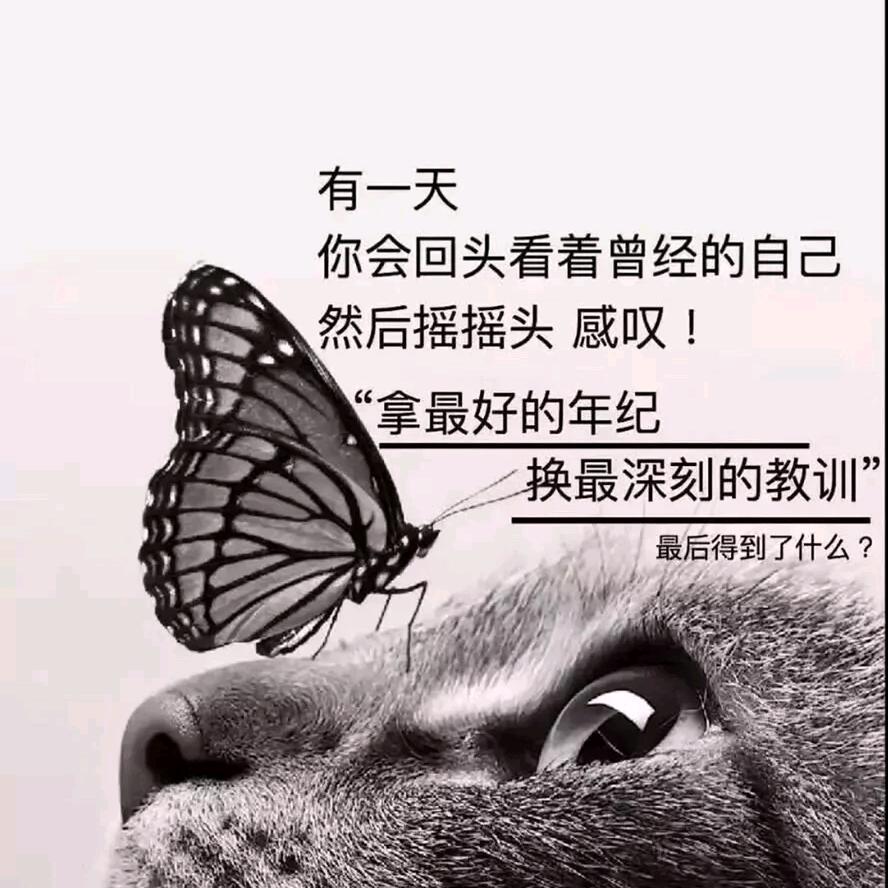 ヅ不存在的存在