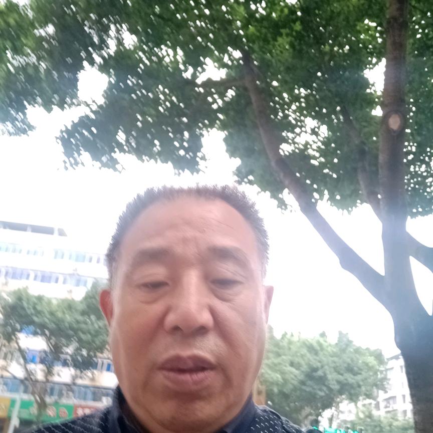 忠诚(手机摄影)