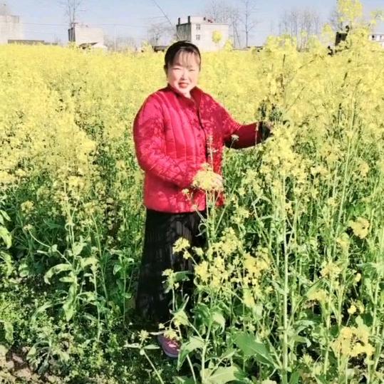 临泉县影姐