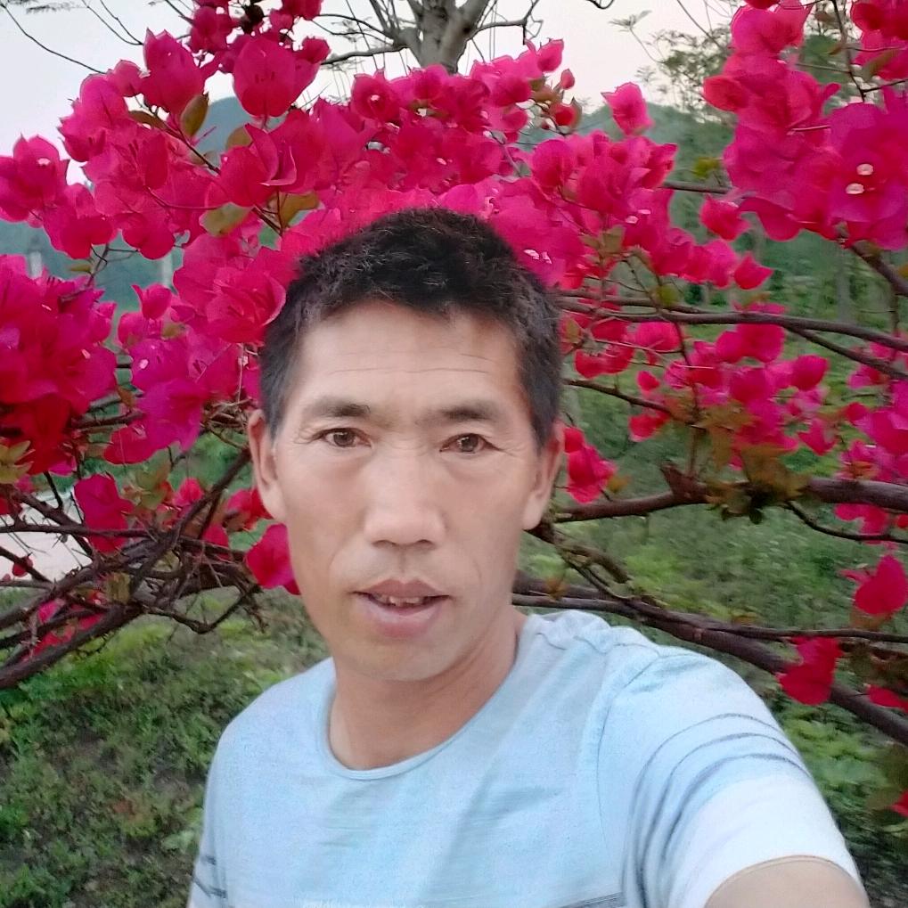 花灯哥