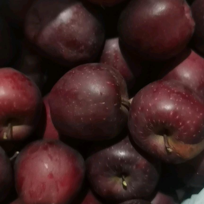 牟府小伙专业挡墙