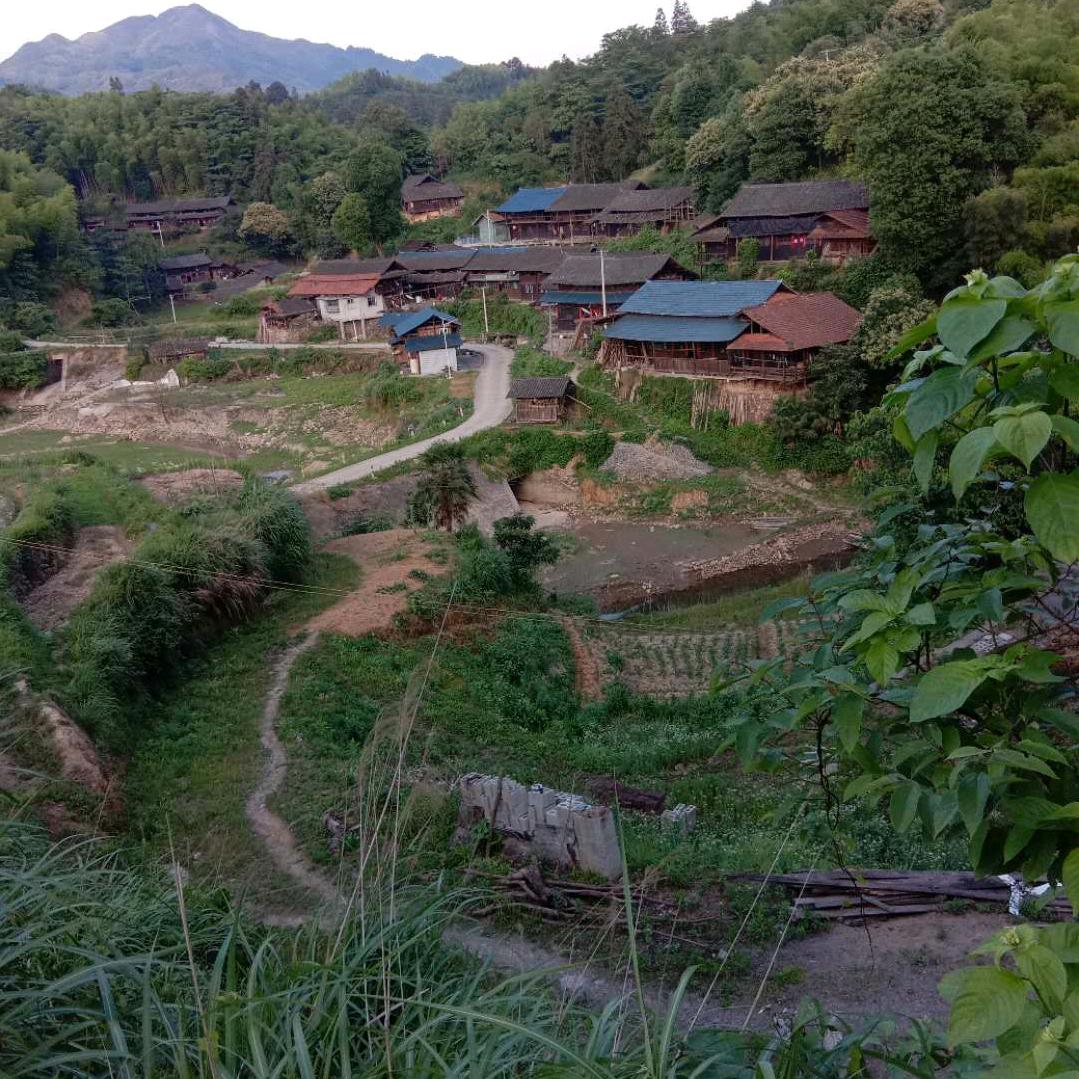 帝都小生