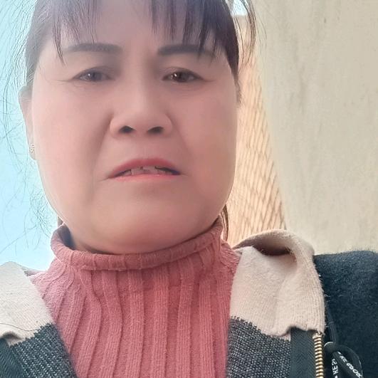 运梅