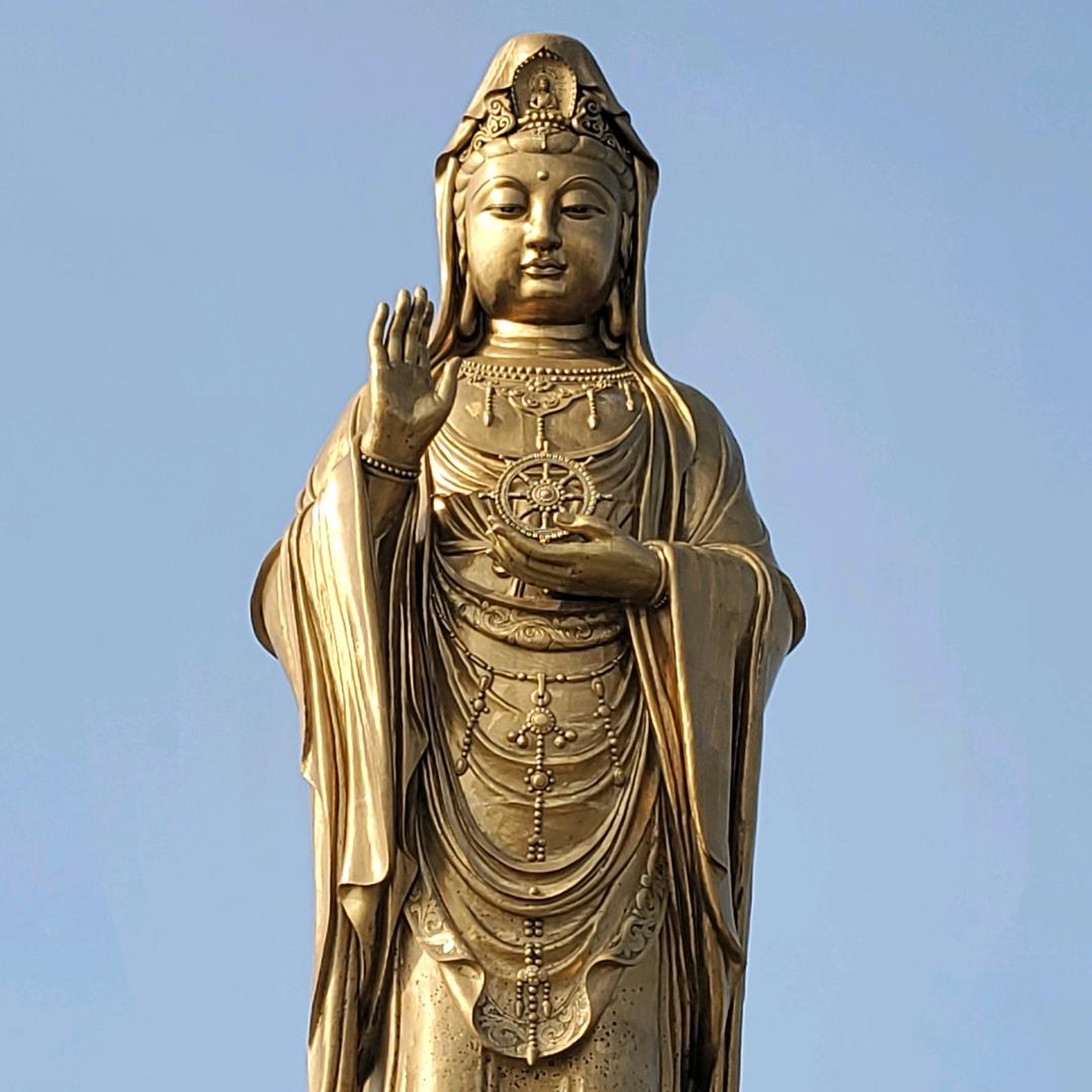 金龙道学1919
