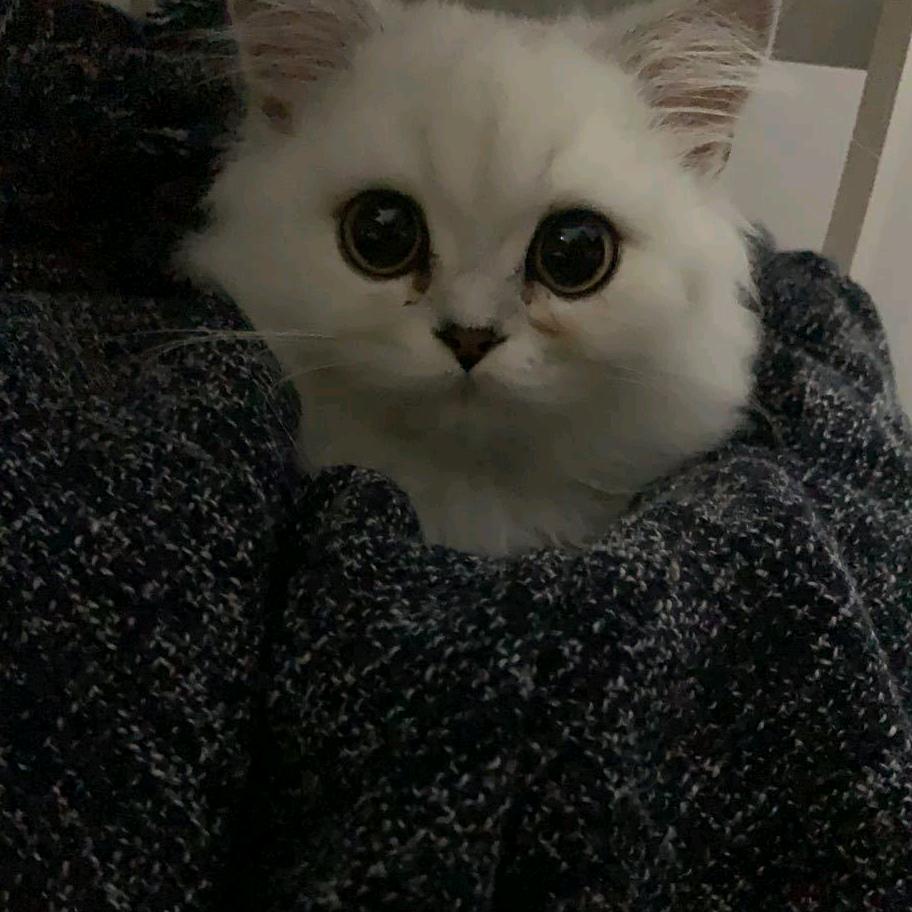 下一次