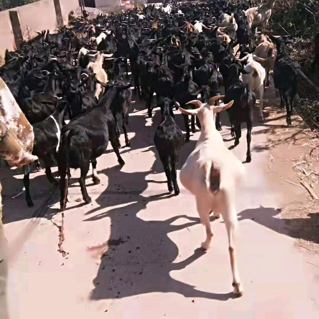 yrfwtixbkh1234567890