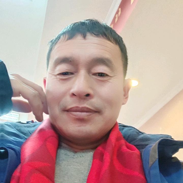 东北黑山牛经济云飞