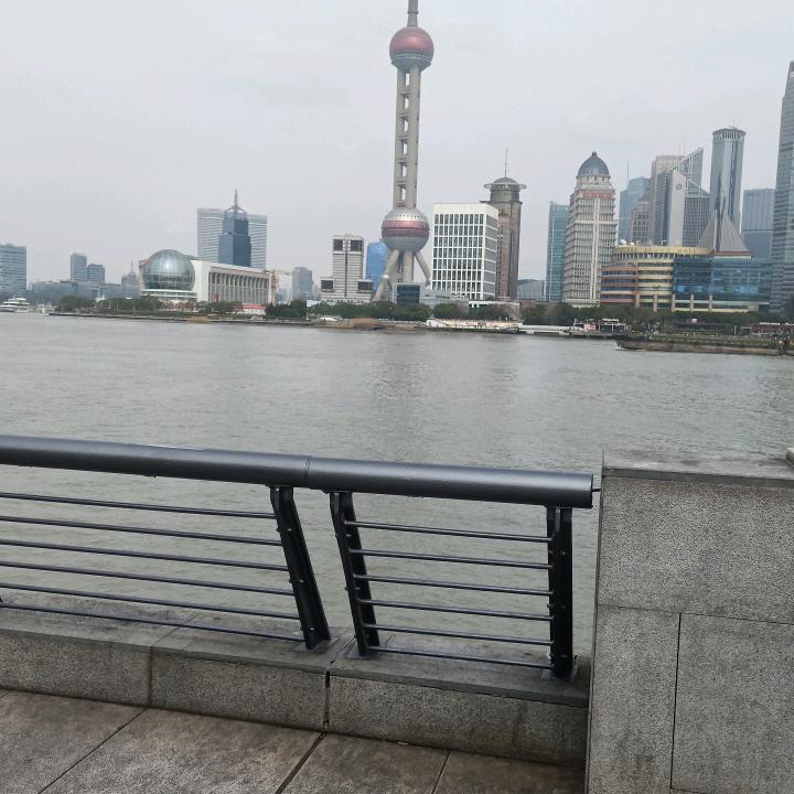 葱花炒饭