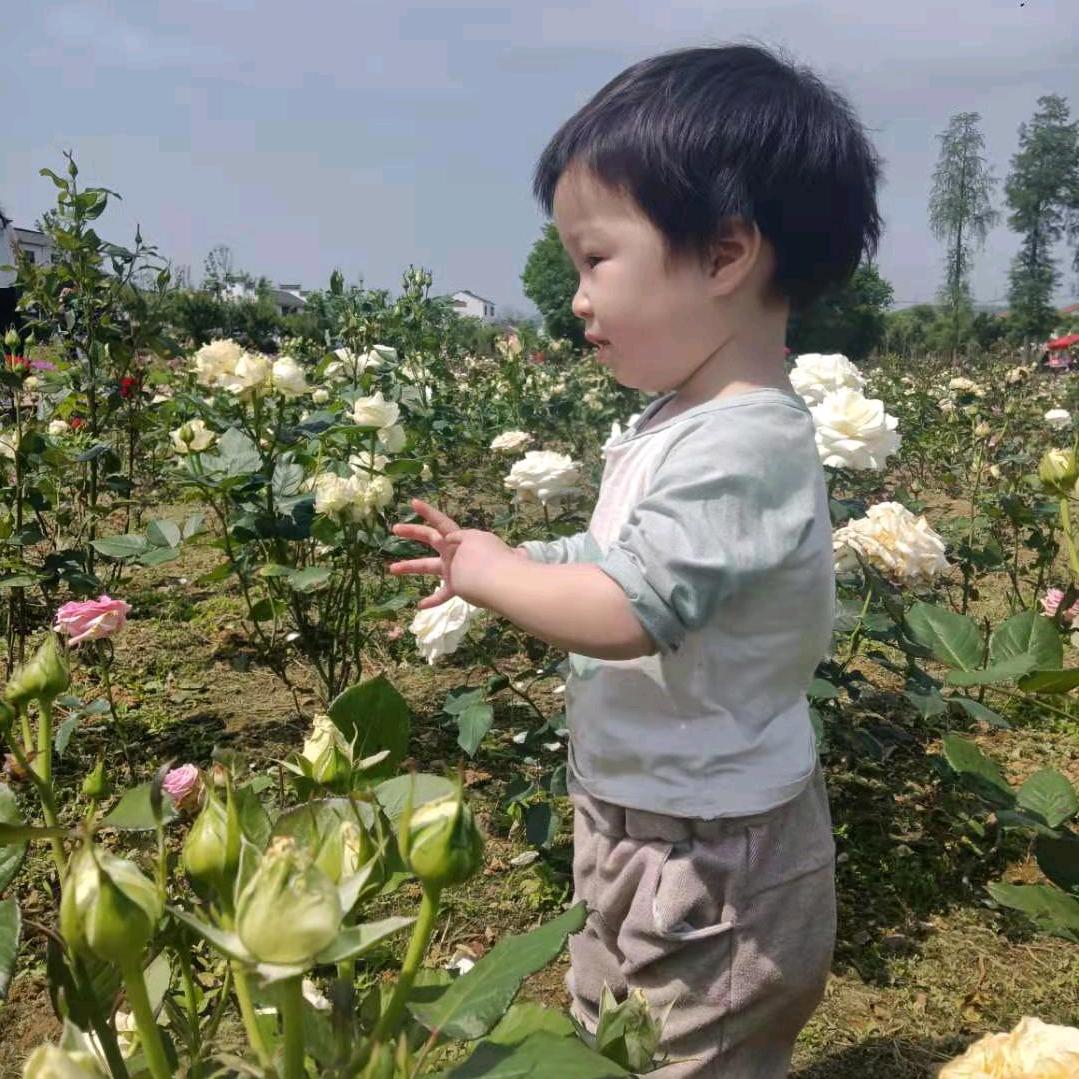 年华易逝