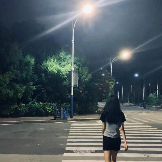 绘珍