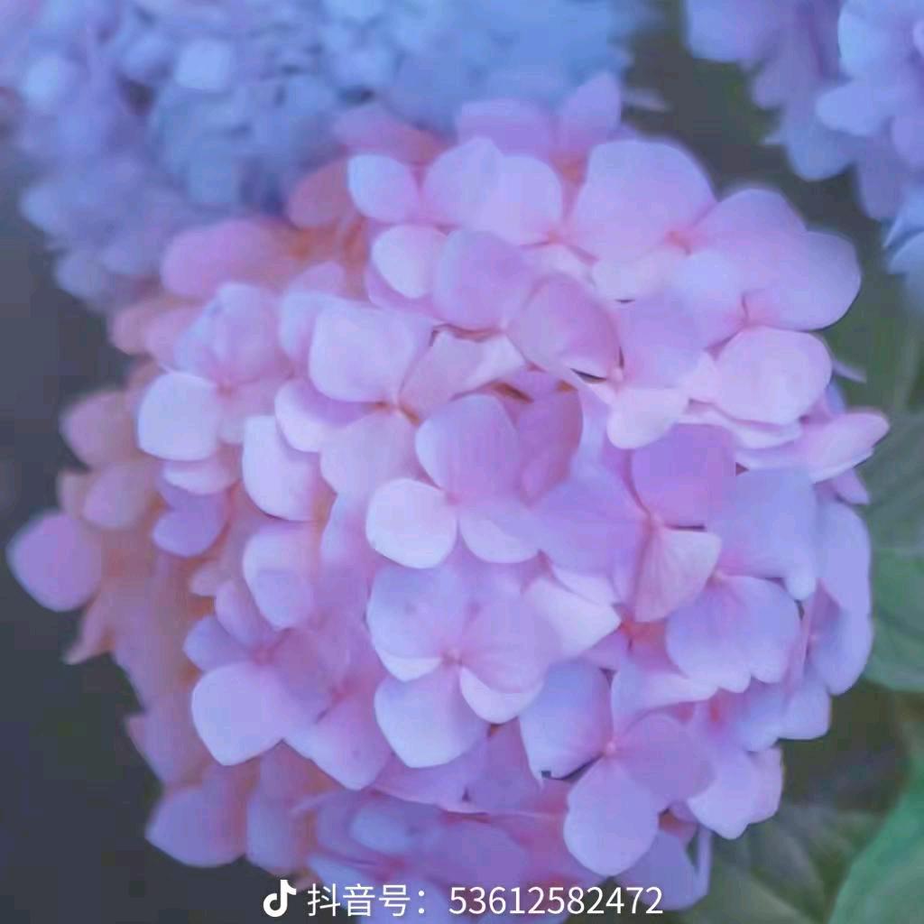 过往云烟