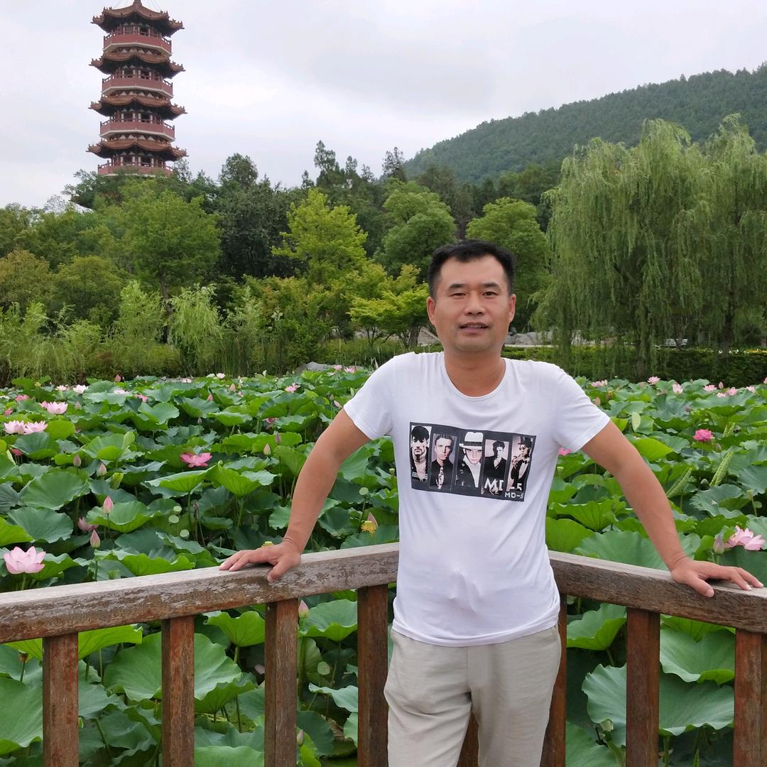 青逸隐士